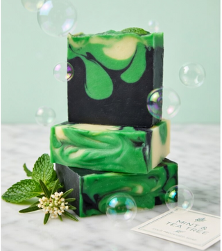 Tea Tree, Mint and Charcoal Cold-Processed Bar Soap